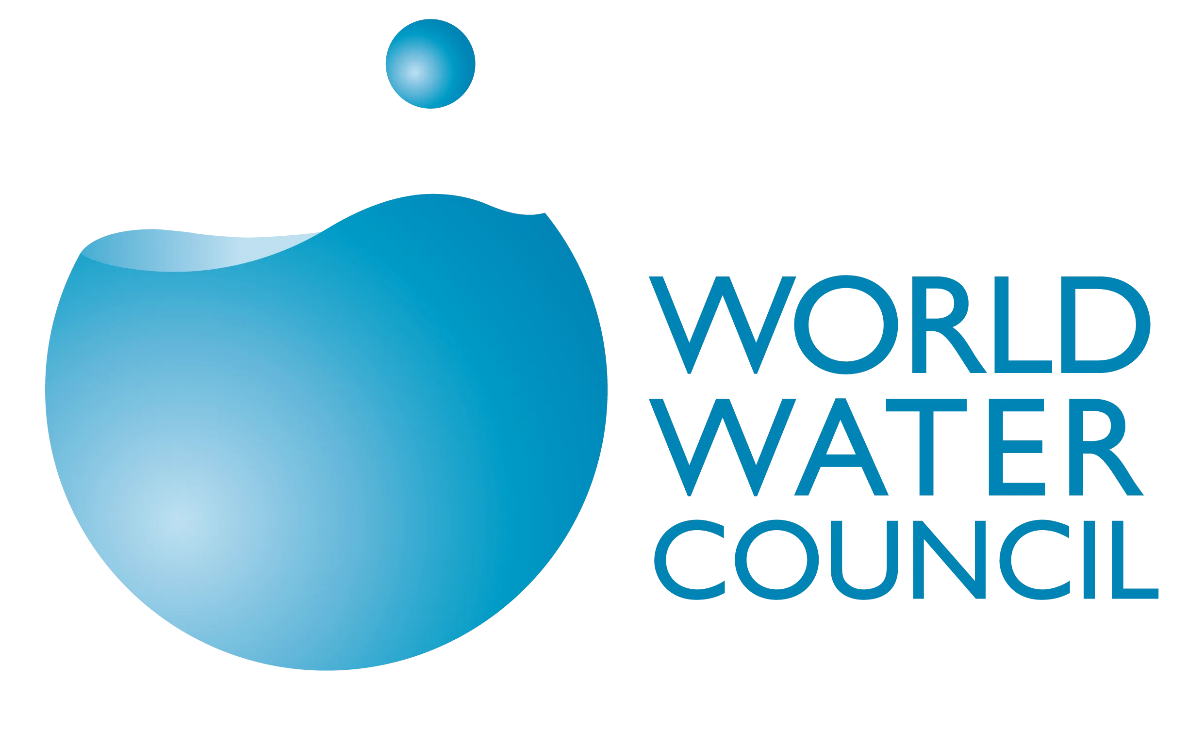 World Water Council